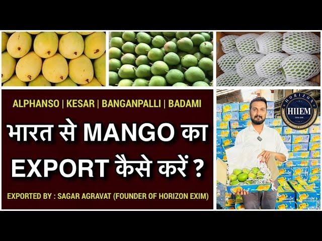 How to Export Mango from india, complete procedure By Sagar Agravat founder of Horizon Exim