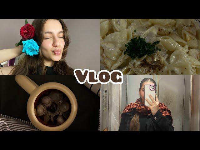 ولاگ روزمره های یک کنکوری|Dayli vlog