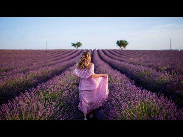 James Quinn - Lavender Fields (25 minutes)