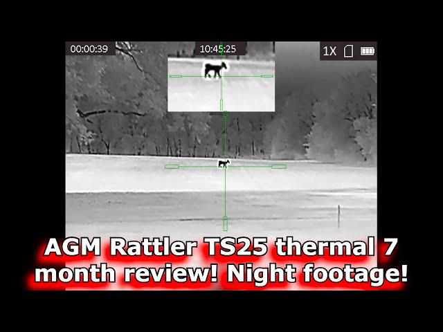 AGM Rattler TS25x384 7 month review! Night footage! Thermal riflescope