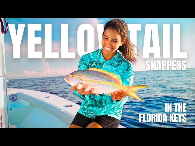 Yellowtail Snapper fishing in Islamorada (Catch & Cook - Peruvian Ceviche)