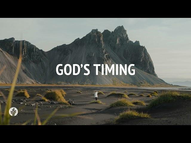 God's Timing | Audio Reading | Our Daily Bread Devotional | November 8, 2024