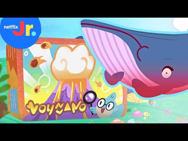 A Whale-y Spicy Volcano Lunch  Sea of Love | Netflix Jr