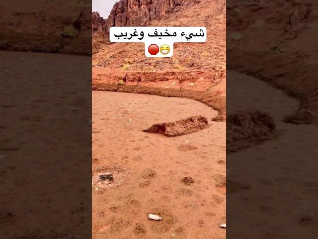 الرمال المتحركه