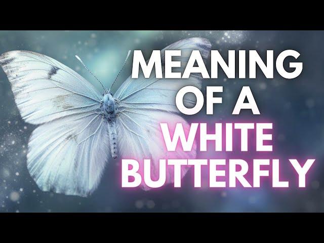 Meaning of butterfly - Find Out The Meaning Of White Butterfly (It Will Surprise You!)