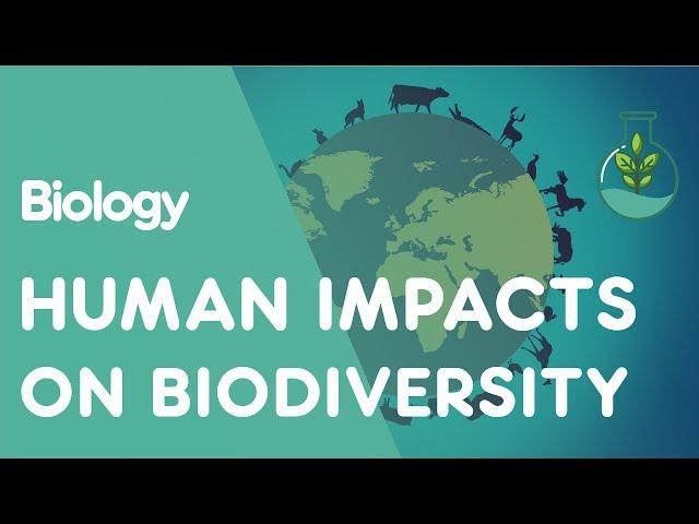 Human Impacts on Biodiversity | Ecology and Environment | Biology | FuseSchool