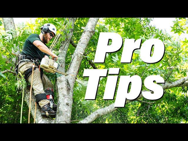 Learn To Be Your Own Arborist (Intro)