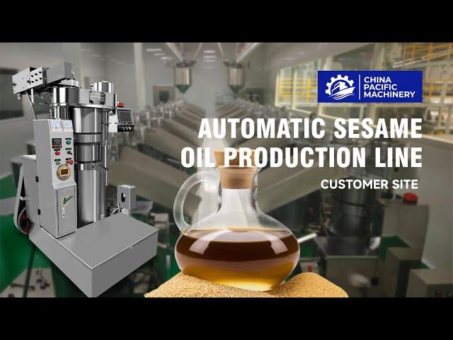 Toasted Sesame Oil|Oil Press Machine|Hydraulic Sesame Oil Extractor|Automatic Sesame Oil Expeller