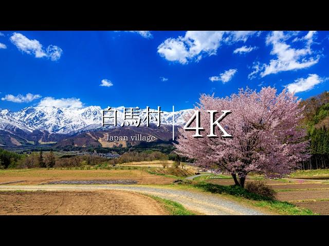 [Hakuba Village Spring/Summer/Autumn/Winter] most beautiful village in Japan - JAPAN in 4K