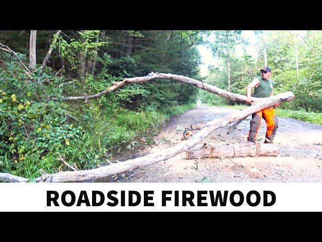 Collecting Roadside Firewood for Winter Supply - Felling, Bucking, and Splitting