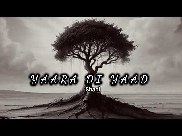 letest soulful song 2024 | official Yaara di yaad | shani | music shani #music #lovesong #youtube