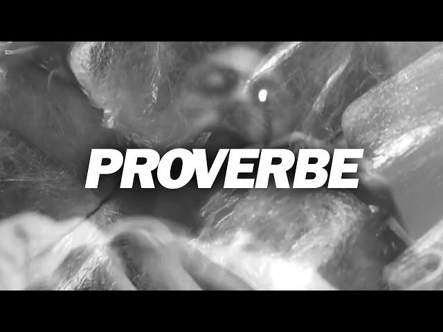 Maes Type Beat - "PROVERBE" Instrumental OldSchool Freestyle | Instru Rap 2025