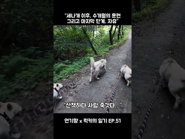 “럭키의 일기 EP.51”  #럭키의일기 #연기향 #감동실화