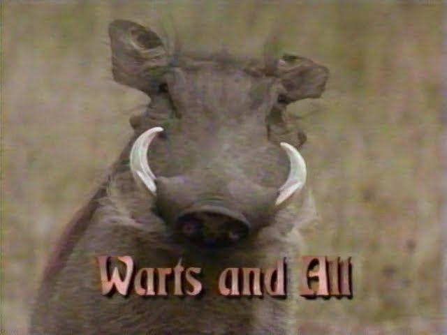 Warts and All (1994)