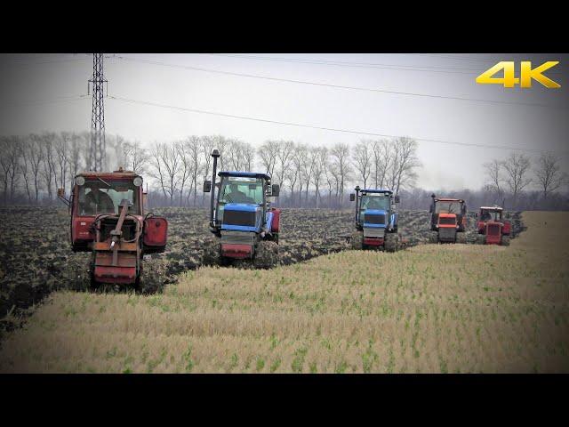 МЕГА-ВСПАШКА ПО-РУССКИ: тракторы Агромаш 90, ВТГ90 и ДТ75. Russian plowing with caterpillar tractors