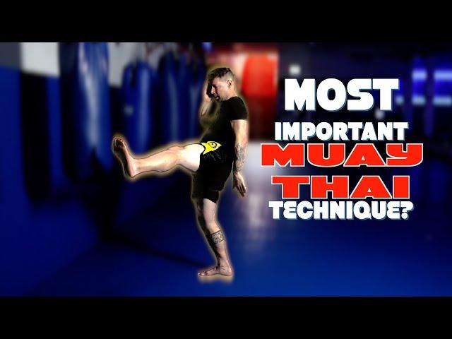 How to Teep in Muay Thai (Basics for Beginners)