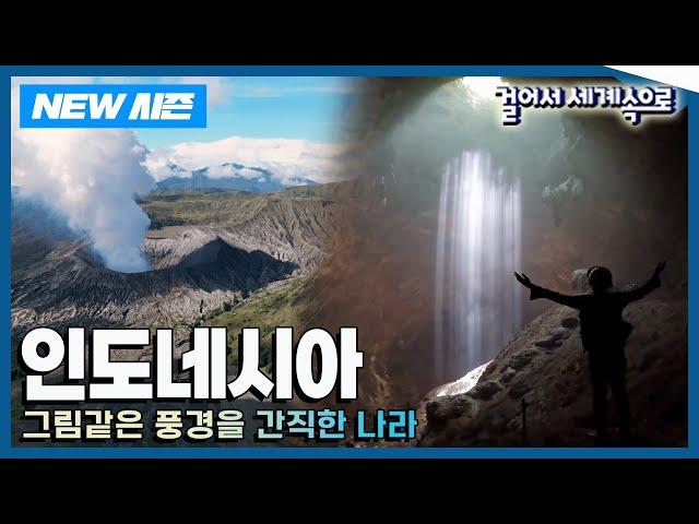 [NEW걸어서세계속으로] 자바섬 구석구석 숨겨진 인생샷 명소를 찾다 '인도네시아' 여행 Trip to Indonesia (KBS_20240309)