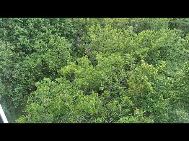 ЗАПОРОЖЬЕ ЗЛОСТЬ И НЕНАВИСТЬ ЗАШКАЛИВАЕТ ЖУТКО ЧТО ТВОРИТЬСЯ 30.05.25