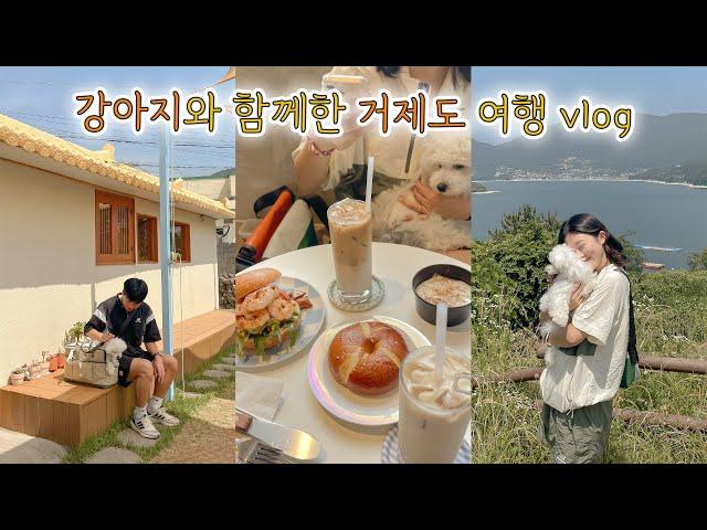 거제도 애견 동반  맛집, 카페, 여행지, 숙소 추천! travel to Geoje island with my puppy for 2D1N  여행 브이로그 vlog