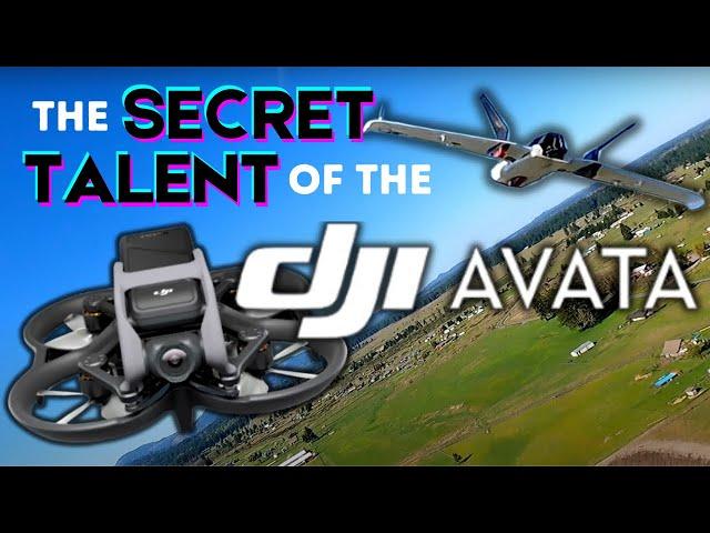 DJI AVATA's SECRET POWER You Probably Haven’t Heard Of! // PropabilityFPV