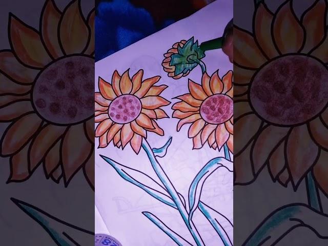 sunflower  drawing # the creative corner # artwork # viral short