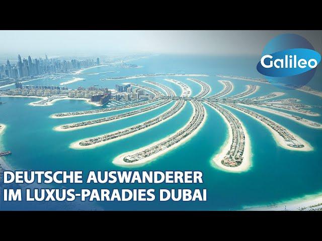 Goldene Chancen oder Fata Morgana? Der Alltag deutscher Familien in Dubai