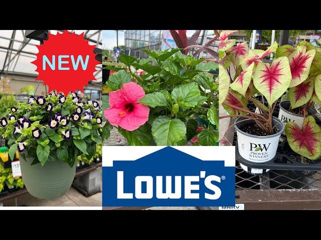 LOWE'S | HOW TO MAKE YOUR GARDEN BEAUTIFUL? | WHAT FLOWERS TO BUY AT LOWE'S?