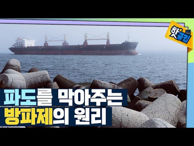 [핫클립] 방파제 모형의 원리 / YTN 사이언스