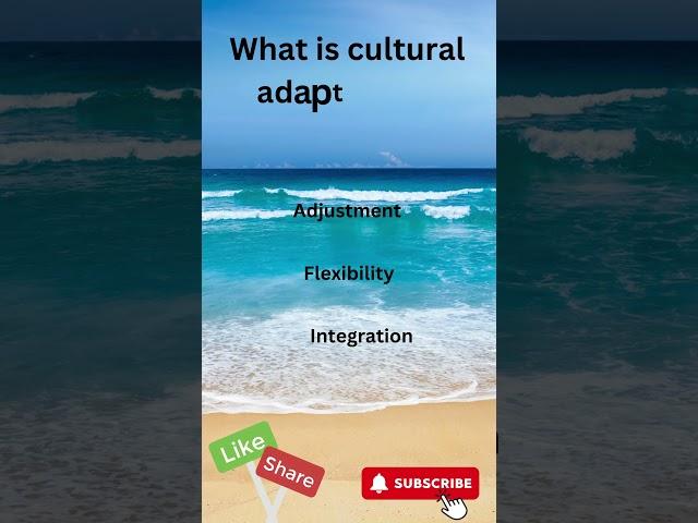 What is cultural adaptation?