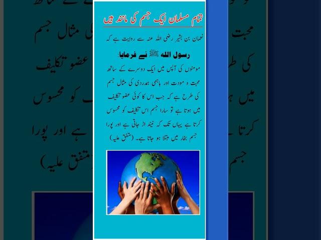The Bond of Believers: Like One Body  | Hadith of the Prophet ﷺ #shorts