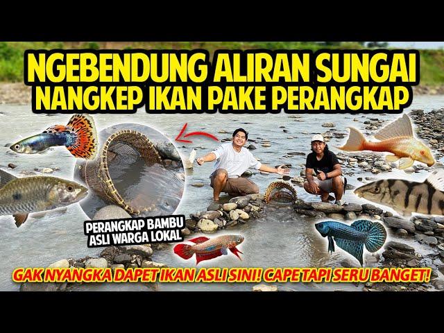 NGEBENDUNG ALIRAN SUNGAI BUAT NANGKEP IKAN PAKE PERANGKAP BAMBU! GAK NYANGKA DAPET IKAN ASLI SINI!