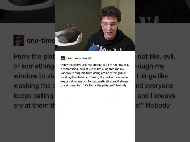 A Perry the Platypus Tumblr Post