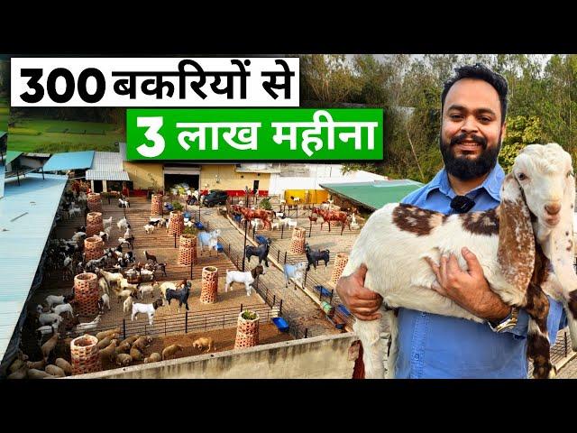 ऐसा शानदार बकरी फार्म नहीं देखा होगा | Goat farming A to Z जानकारी