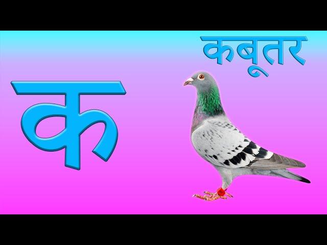 क ख ग घ ङ  क से कबूतर | हिंदी स्वर व्यंजन वर्णमाला | छोटे बच्चो की हिंदी पाठशाला | Ka se Gya tak