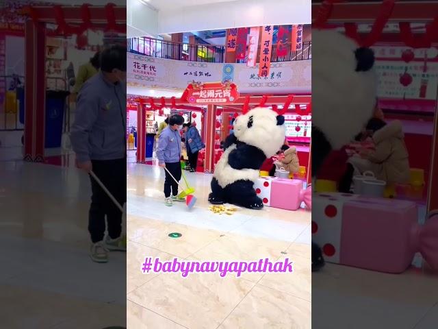 cute panda video #panda #shorts