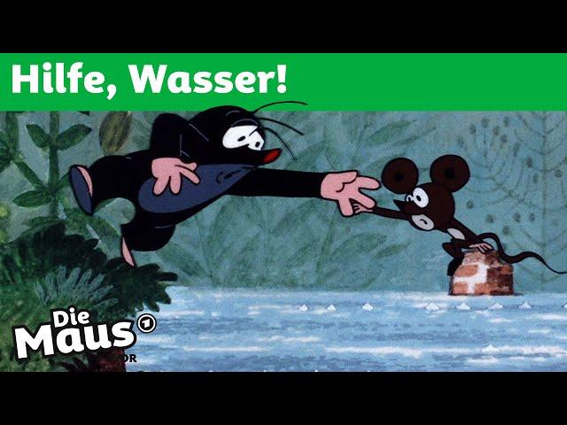 Die Überschwemmung | Der kleine Maulwurf | DieMaus | WDR