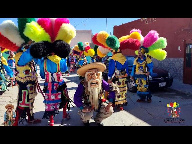 DANZA DE MATLACHINES "LOS VENADOS" PROVIDENCIA 2022