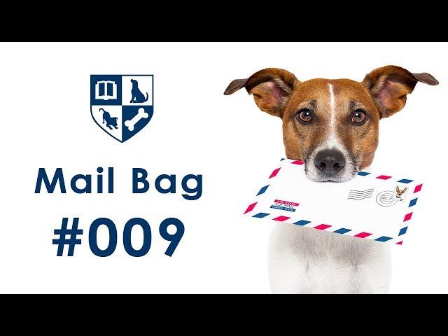 Dunbar Mailbag #9 - Leash Pulling