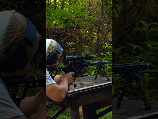 Sight in a RIFLE/308#viralreels #fypシ゚viral #viralshort