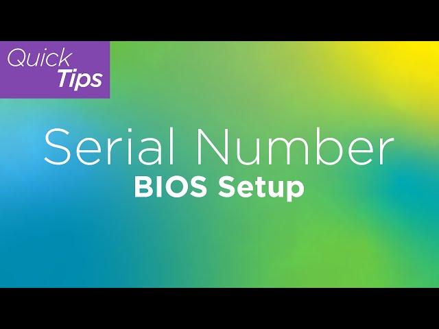 Serial Number: BIOS Setup | Lenovo Support Quick Tips