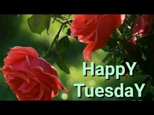 Tuesday good morning flowers images!! Best good morning pictures