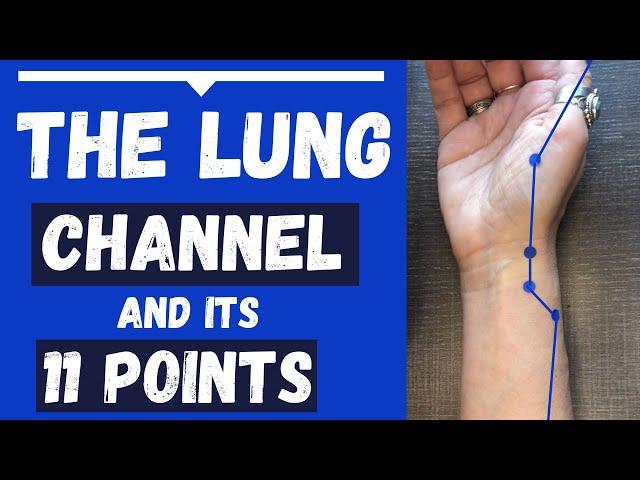 The Lung Channel Meridian and 11 Lung Acupuncture Points (Functions & Locations)