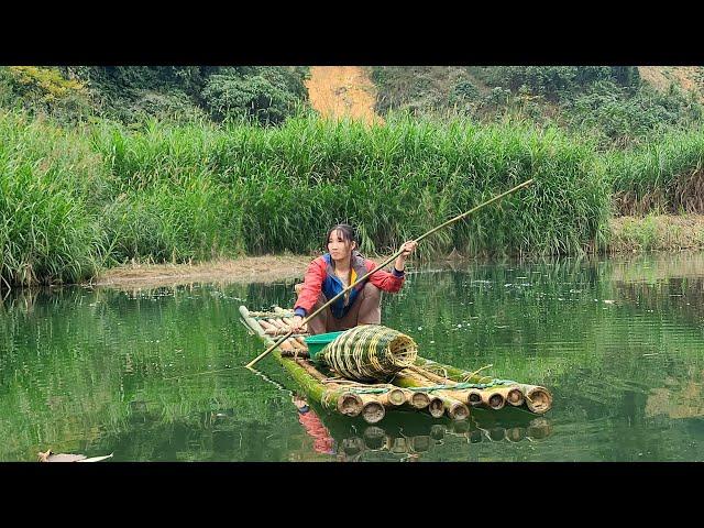 Bamboo rafting to trap stream fish - Daily Life Thuy