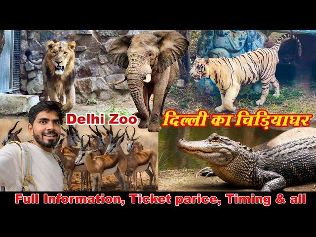 Delhi zoo vlog 2024 | Delhi chidiya ghar | delhi zoo all animals video 2024 | delhi zoo