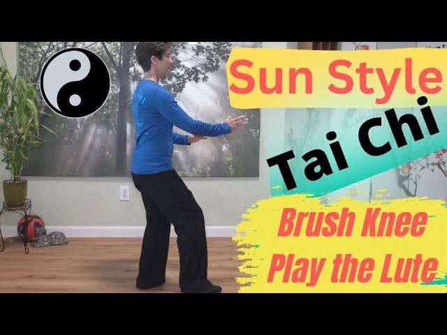 Sun Style Tai Chi: Brush Knee, Play the Lute, Parry and Punch; Improve Balance