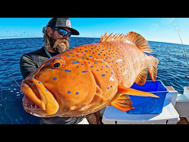 How to catch Coral Trout on SLOW PITCH….