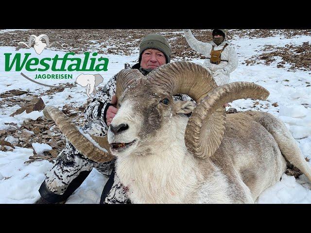 Auf Abenteuer mit Westfalia Jagdreisen in Kirgisistan