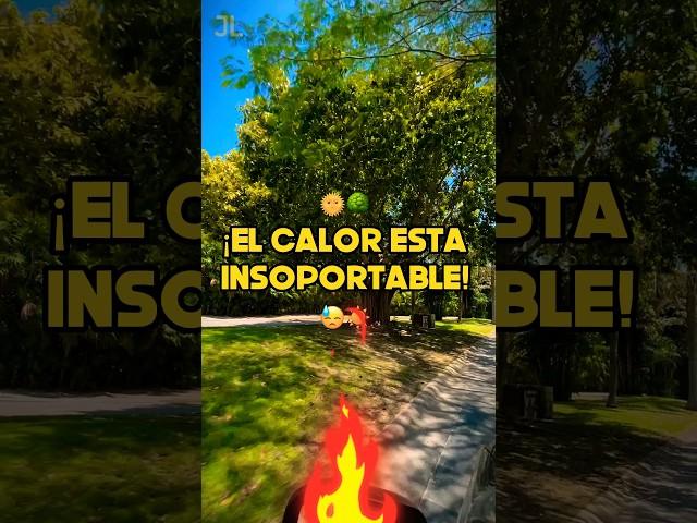 ️Ola de #calor 🫠 ️#yucatán #development #solar #heat