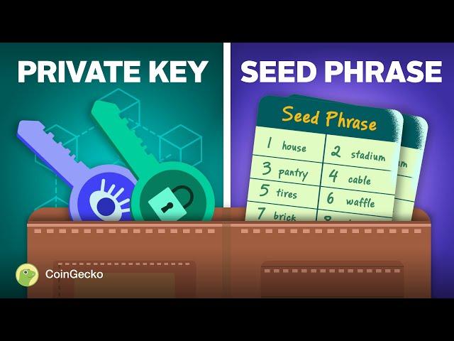 Crypto Seed Phrases VS Private Keys: What’s The DIFFERENCE??