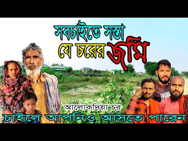 সবচাইতে সস্তা যে চরের জমি | আলোকদিয়া চর | village life | Alokdia char